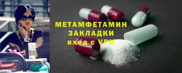 прущие грибы Бородино