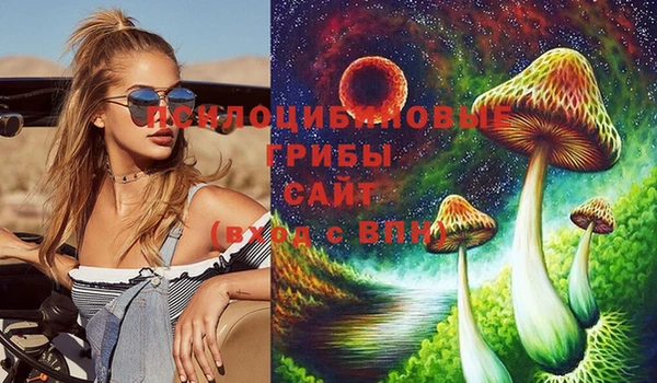 прущие крисы Богданович