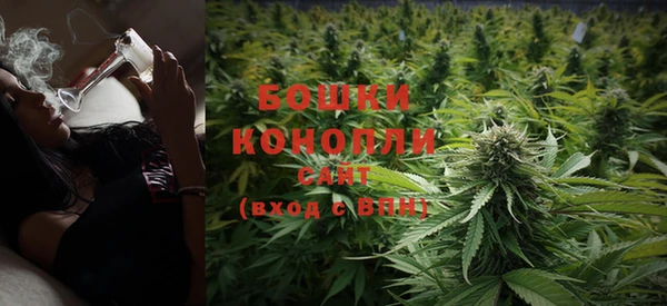 бошки Белокуриха